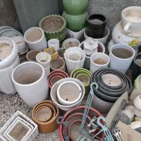 گلدون|گل و گیاه طبیعی|بوشهر, |دیوار