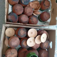 سفال دیزی|ظروف پخت‌وپز|قم, پردیسان|دیوار