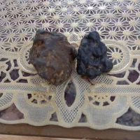 فسیل|کلکسیون اشیاء عتیقه|آباده, |دیوار