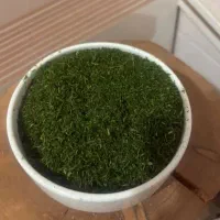سبزیجات بی بی گل