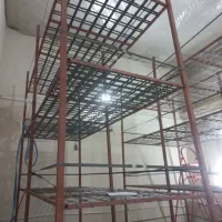 طبقه بندی سالن قارچ
