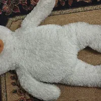 خرس بزرگ