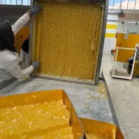 فروش انواع نبات سوغات از اصفهان|خدمات پذیرایی، مراسم|ساری, |دیوار