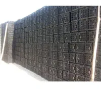 سبد ۱۶کلیوی گوچه