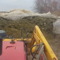 ذرت علوفی  ذرت دامی سیلوی  درج یک حدود ۳۰تا ۴۰ تن