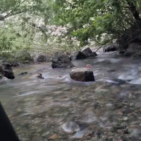 تور یک روزه طبیعت گردی