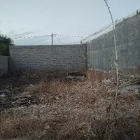زمین