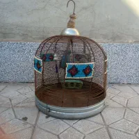 قفس پرنده