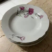 ظروف گل میخکی اصل ژاپن