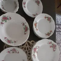 فروش سرویس گل سرخ قدیمی