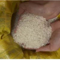 برنج پاکستانی R6 (رویال الیت)