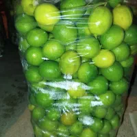 لیمو سبز آب دار تحویل درب منزل