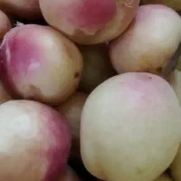 زرد آلو درجه یک نوری شمس اصفهانی