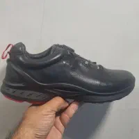 کفش اکو اورجینال