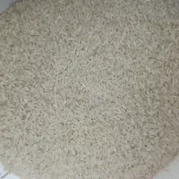 فروش برنج پاکستانی درجه 1
