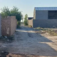 زمین باغخواص ورامین
