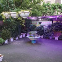 تدریس خصوصی