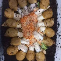 حلزون آلبینو طلایی وجید