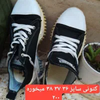 لباس|کیف، کفش، کمربند|رباط‌کریم, الارد|دیوار