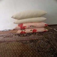 بالنج ارزان