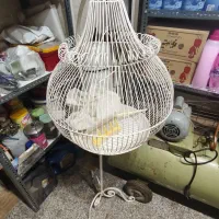 قفس بزرگ پایه دار