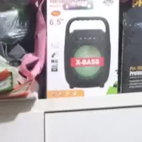 اسپیکر نو بزرگ با کارتن معاوضه با پرنده