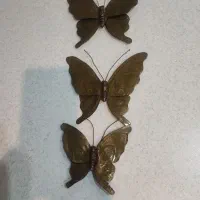 پروانه برنز