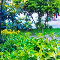 خونه-باغ-بهشتی-بافت-مسکونی-مستقل-نور