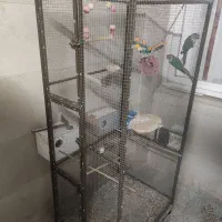قفس پرنده بزرگ دستساز با چرخ و امکانات کامل