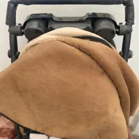 کالسکه و کریر ست دلیجان