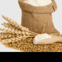 خریدار امتیاز نانوایی