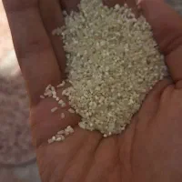 برنج ایرانی