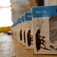 از بین بردن انواع سوسک بدون سمپاشی و حساسیت