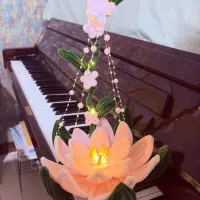 گل ربانی . چراغ خواب