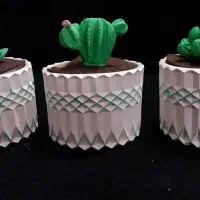 کاکتوس جاودان و ماندگار بدون نیاز به مراقبت