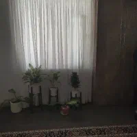 راهنمایی میکنم در رابطه با املاک گلبهار
