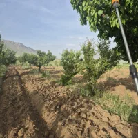 3000-متر-زمین-باغی