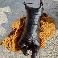 هیزه بره