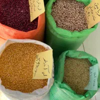 انواع حبوبات درجه یک قیمت مناسب کالابرگ