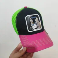 کلاه رنگی گربه اورجینال