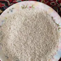 برنج هاشمی