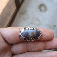 شجرویاقوت