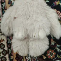 جاسویچی