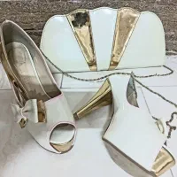 کیف و کفش مجلسی