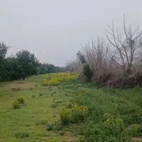 باغ