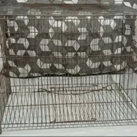 قفس