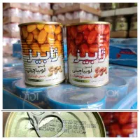 استخدام نیرو