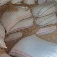 کاه تمیز خرمنکوب