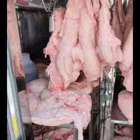 دنبه وخرده دنبه و گوشت برزیلی