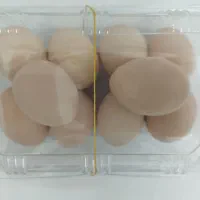 فروش تخم مرغ خانگی بروز